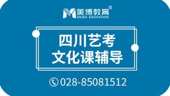成都艺术生文化课辅导与科技指导
