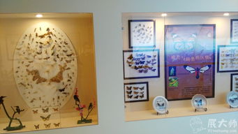 桂林植物园科普展厅 展大师特装与三牛文化科技赋能下的自然探索